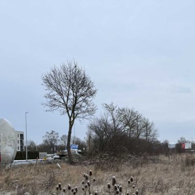Berliner Doner Kebap zaprasza 24h na dobę do restauracji ....