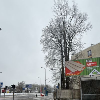 Leroy Merlin wznawia komunikację na naszych nośnikach w Szczecinie